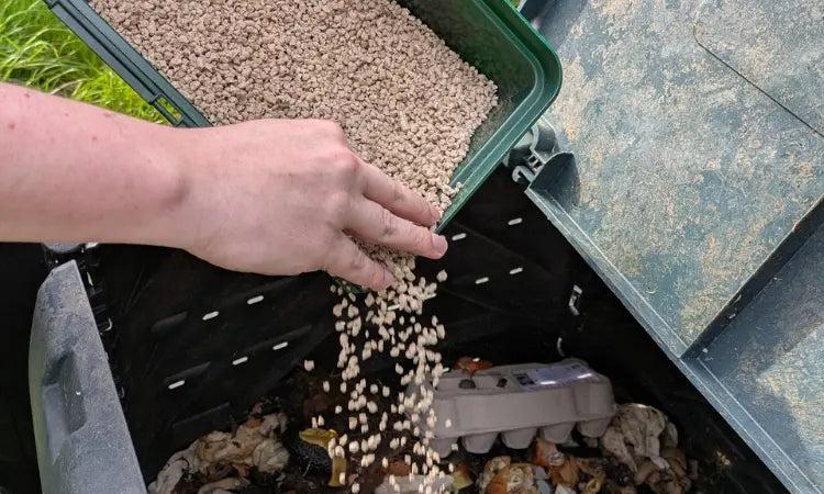 Composter la litière de chat : tutoriel et erreurs à éviter !