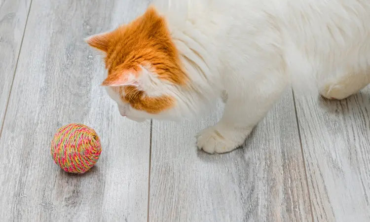 Jouets pour chats : Comment choisir les meilleurs accessoires pour stimuler votre félin ?