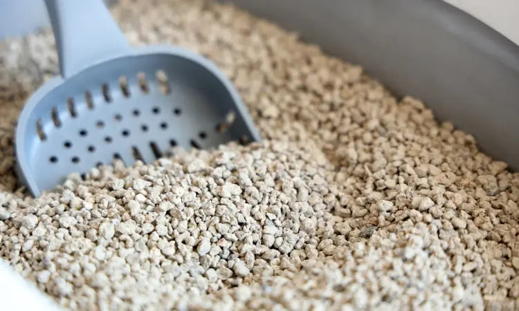 Litière minérale : nocive pour les Chats, les Humains et la Planète