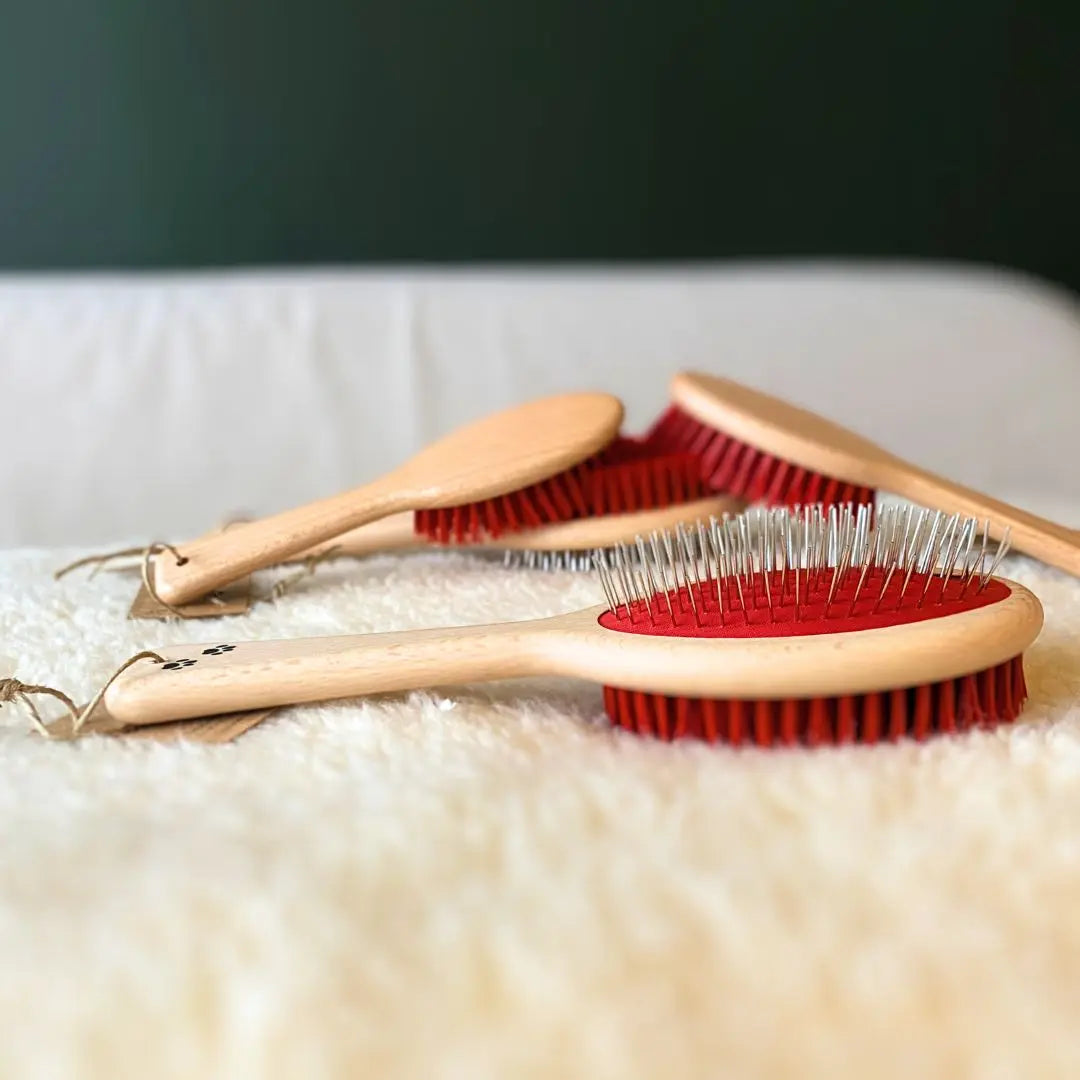 Jopy brosse française pour chat 2 en 1