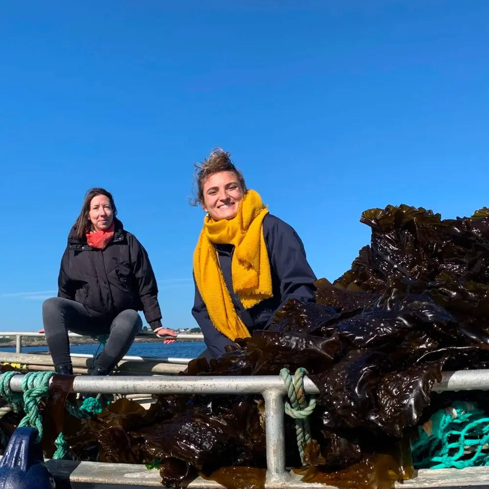 Ingrédients phare des pâtées pour chat Jopy, l'algue aonori vient du finistère en bretagne
