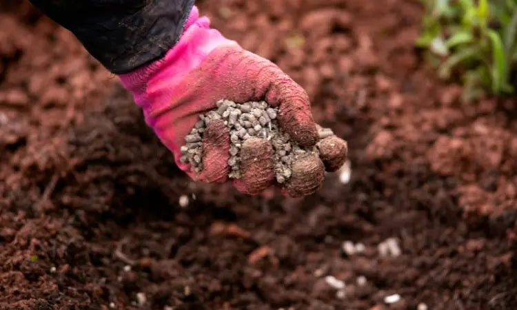 Comment composter la litière jopy