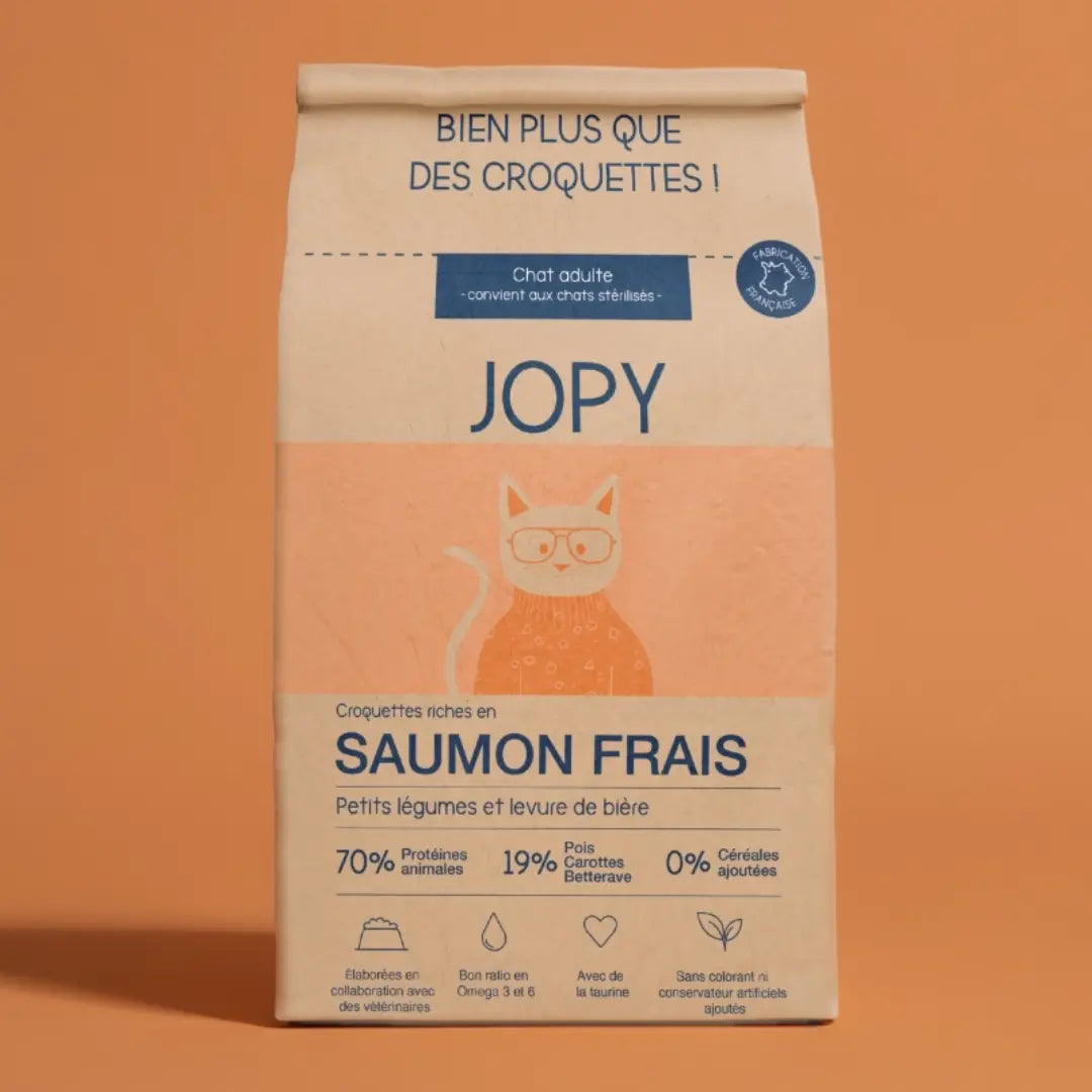 Croquettes Chat au Saumon
