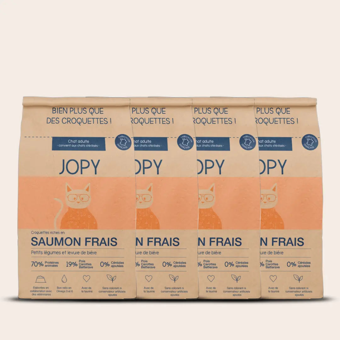 Croquettes Chat au Saumon