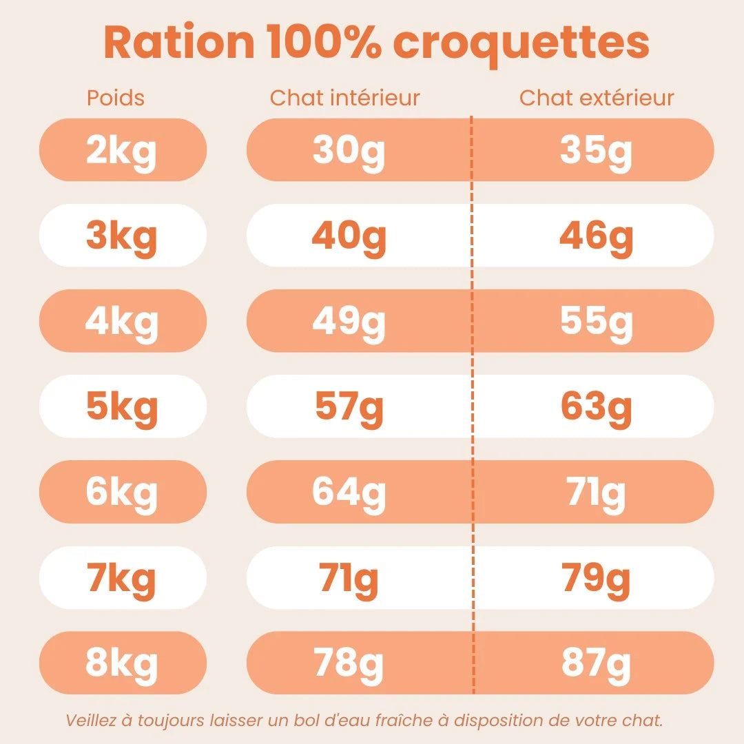 Croquettes Chat au Saumon