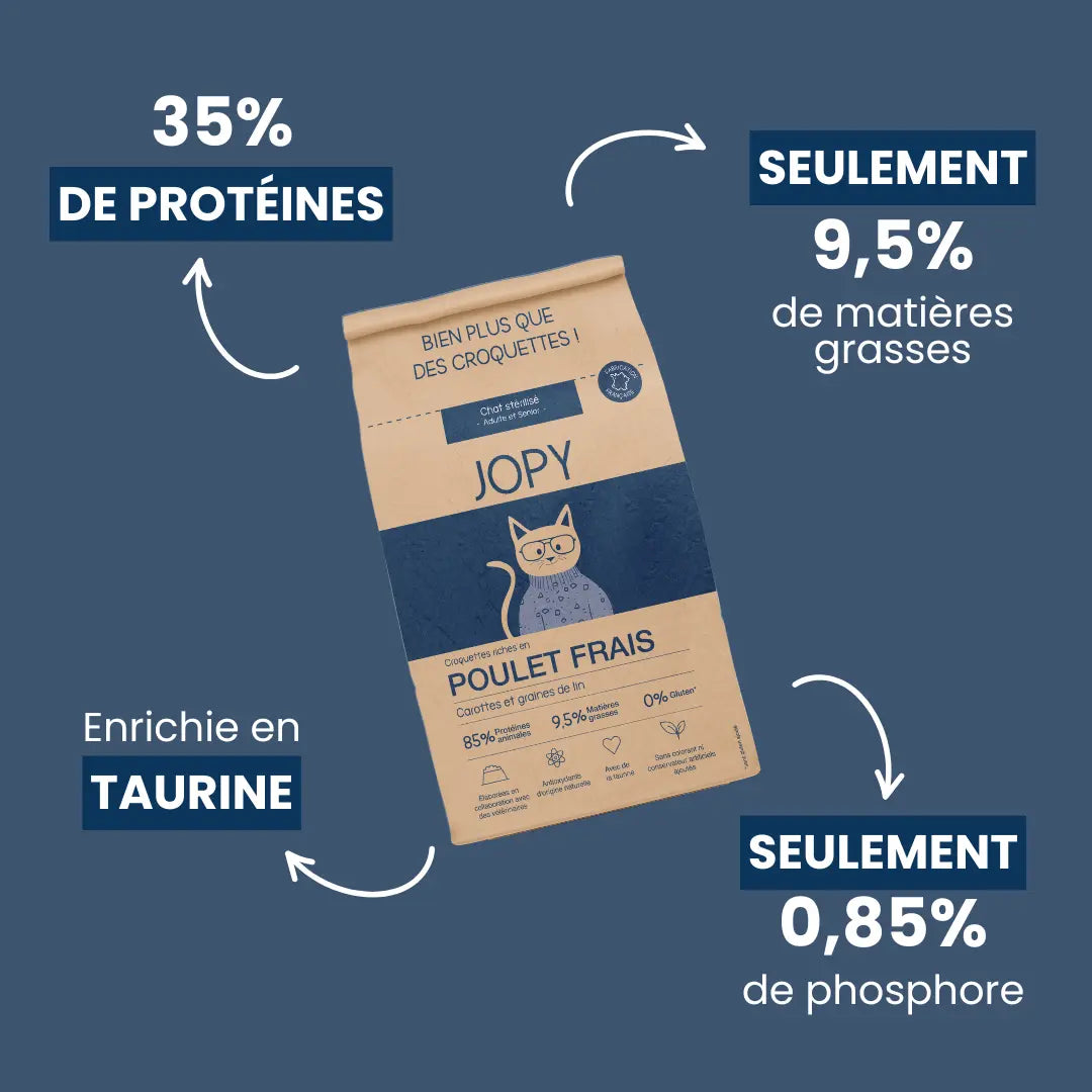 Croquettes Chat au Poulet