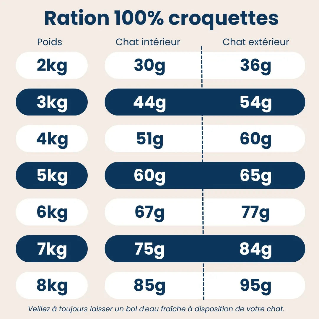 Croquettes Chat au Poulet