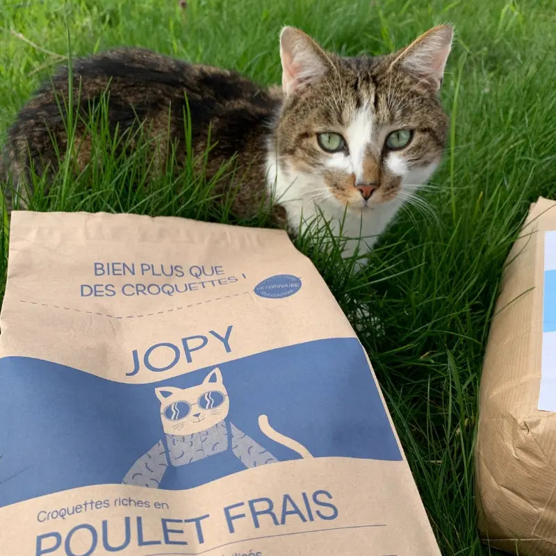 Un chat dans l'herbe à côté d'un paquet de croquettes pour chat stérilisé au poulet de Jopy