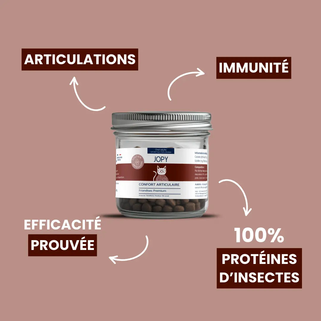 Friandises Confort Articulaire
