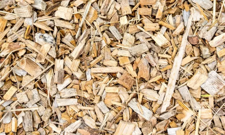 Litière pour chat résidus et co-produits de bois