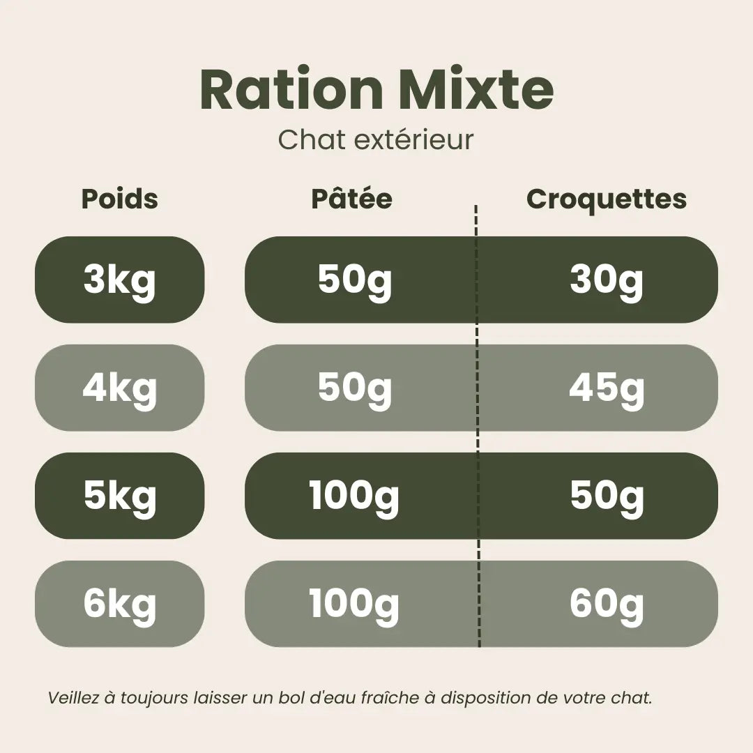 Pâtée Chat au Sanglier