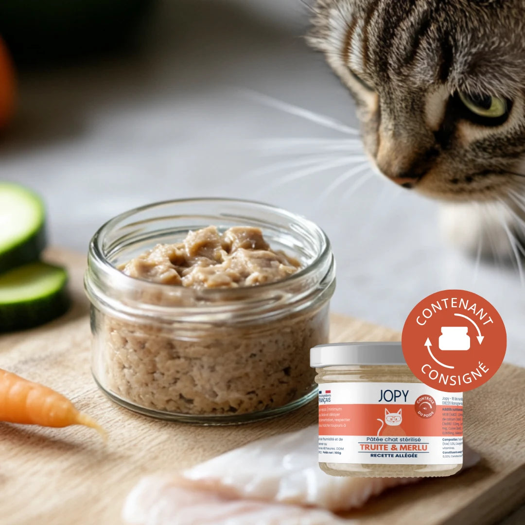 Pâtée Allégée Chat à la Truite