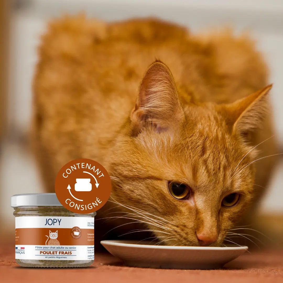Pâtée Chat au Poulet