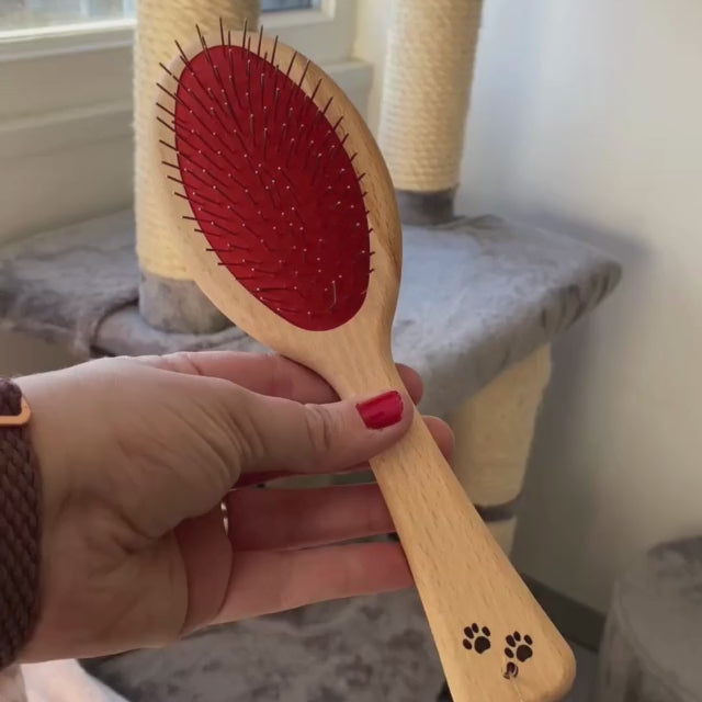 Brosse française pour chat Jopy