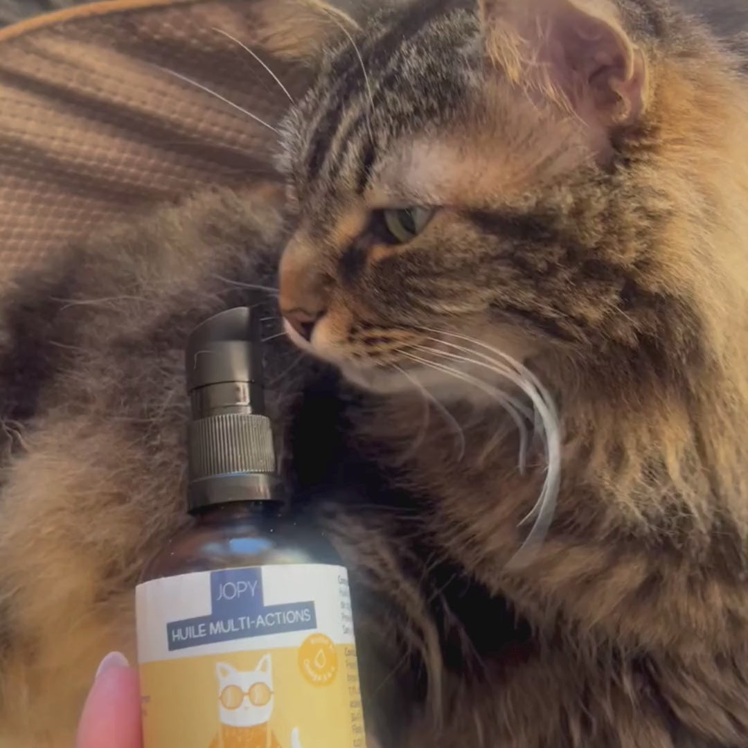 Jopy Huile Végétale Multi-Actions pour Chat Alternative aux huiles de poissons