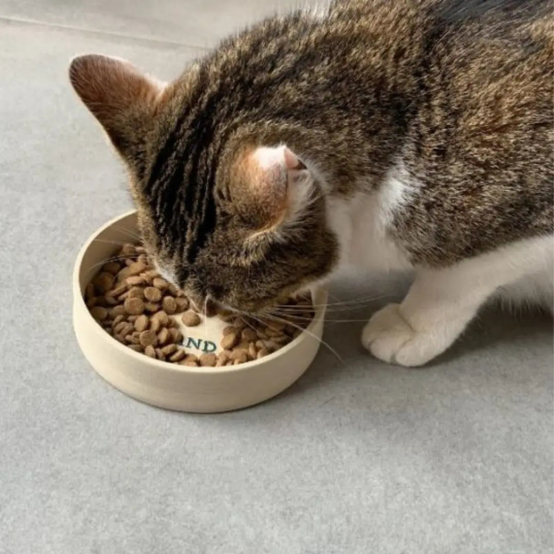 Croquettes pour Chat Stérilisé Adulte - Saumon