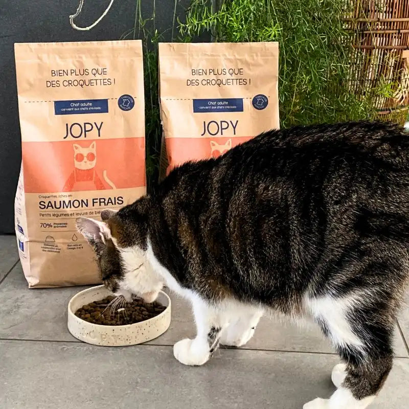 Avantage gamelle pour chat anti glouton de Jopy