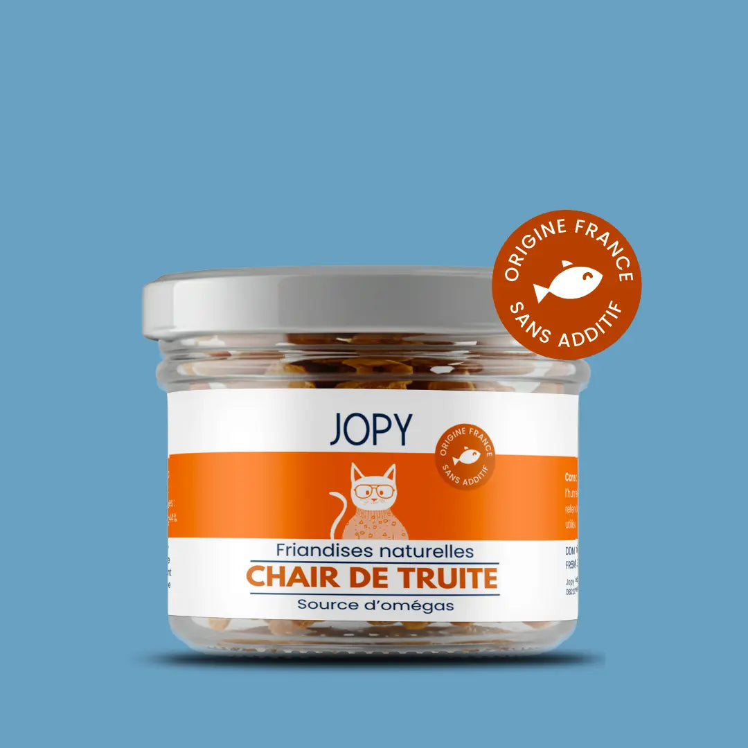 Chair de truite pour chat