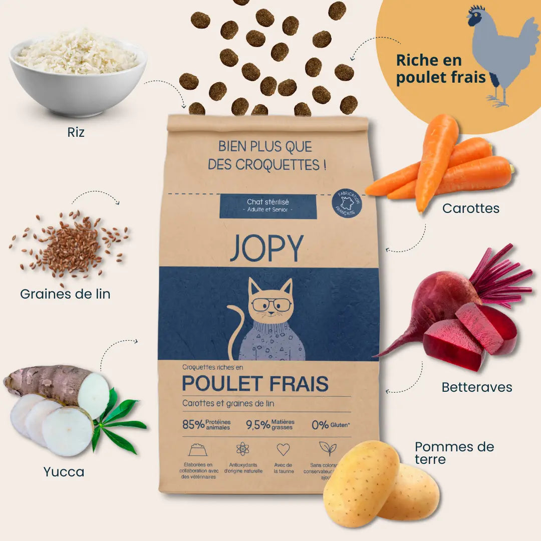 Croquettes Chat au Poulet