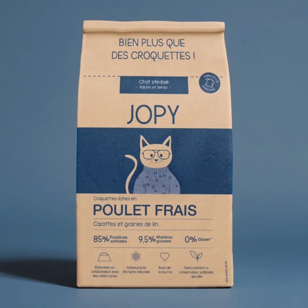 Croquettes Chat au Poulet