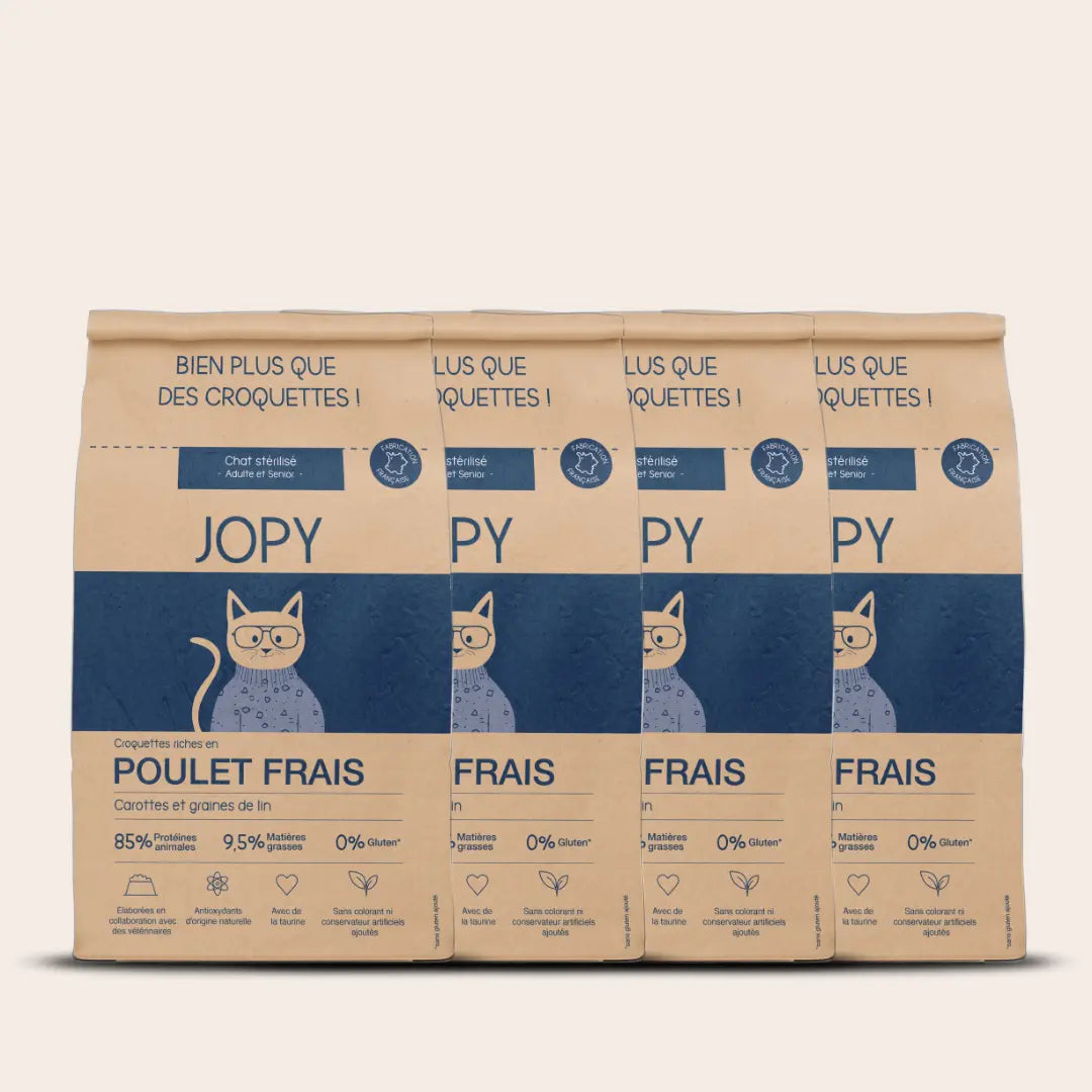 Croquettes Chat au Poulet