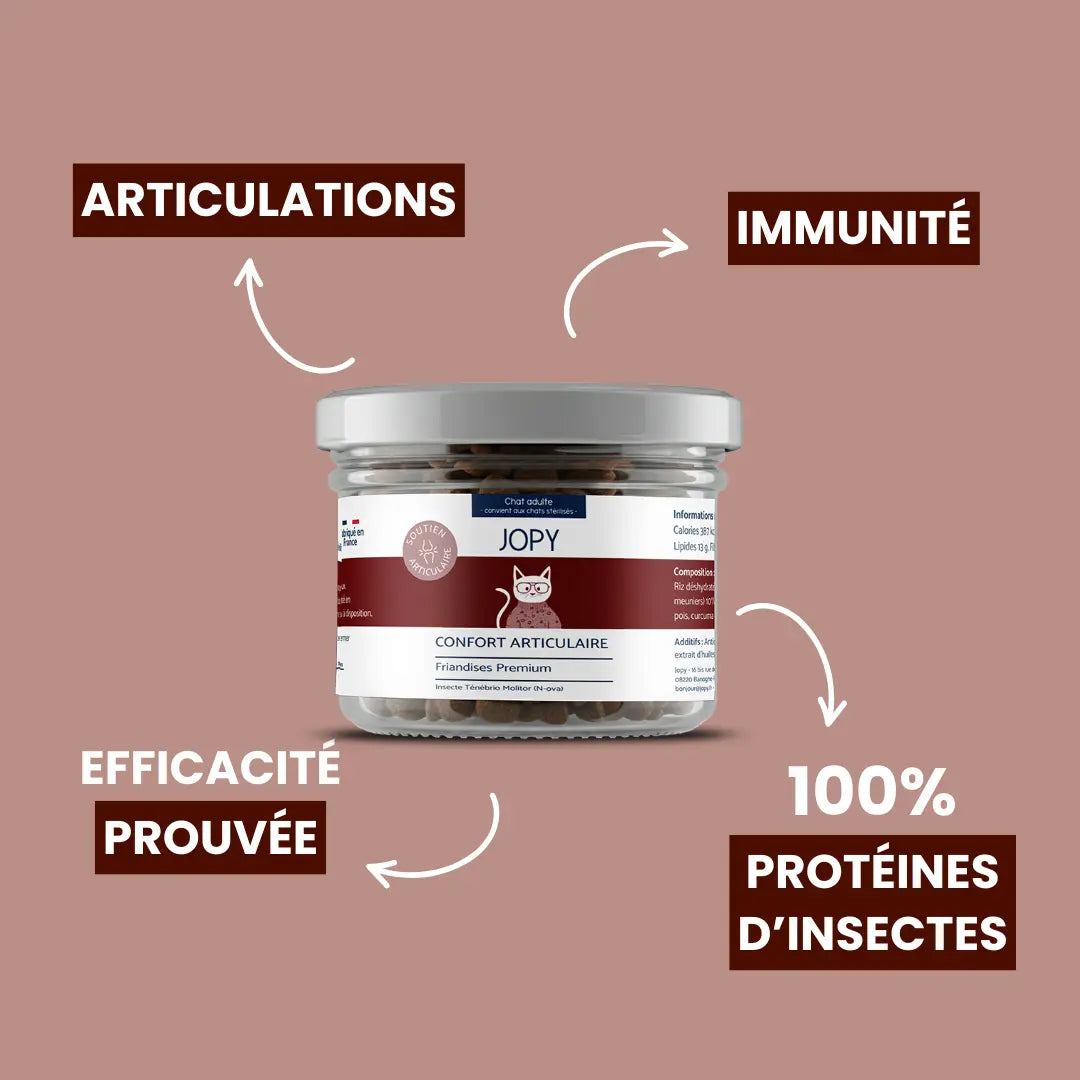Friandises Confort Articulaire
