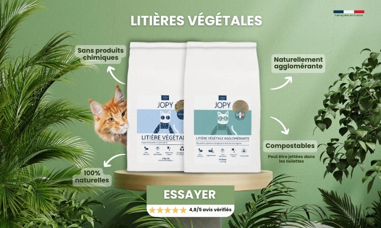 Litière végétales: meilleures litières pour chat 