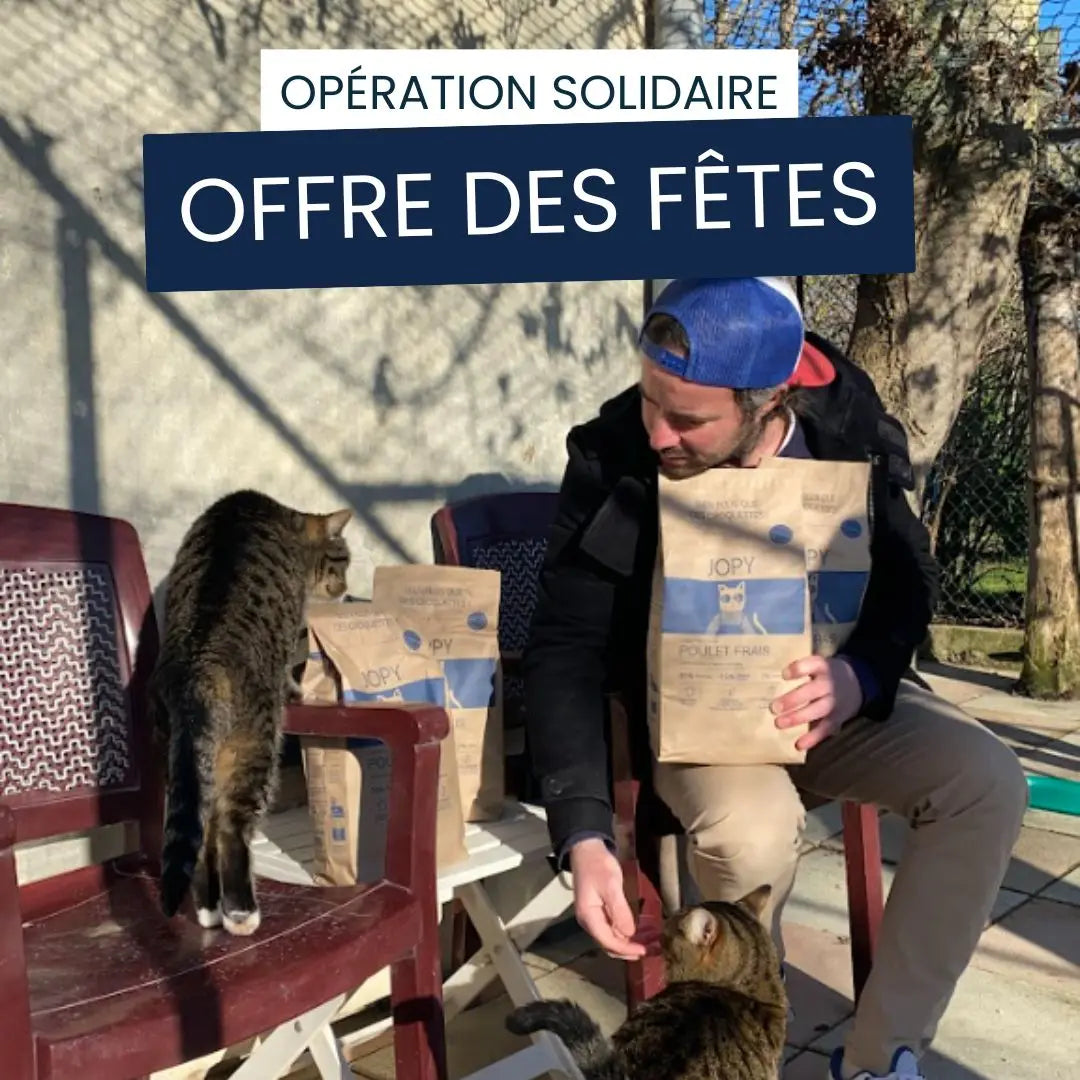 14 repas OFFERTS à un refuge pour chats