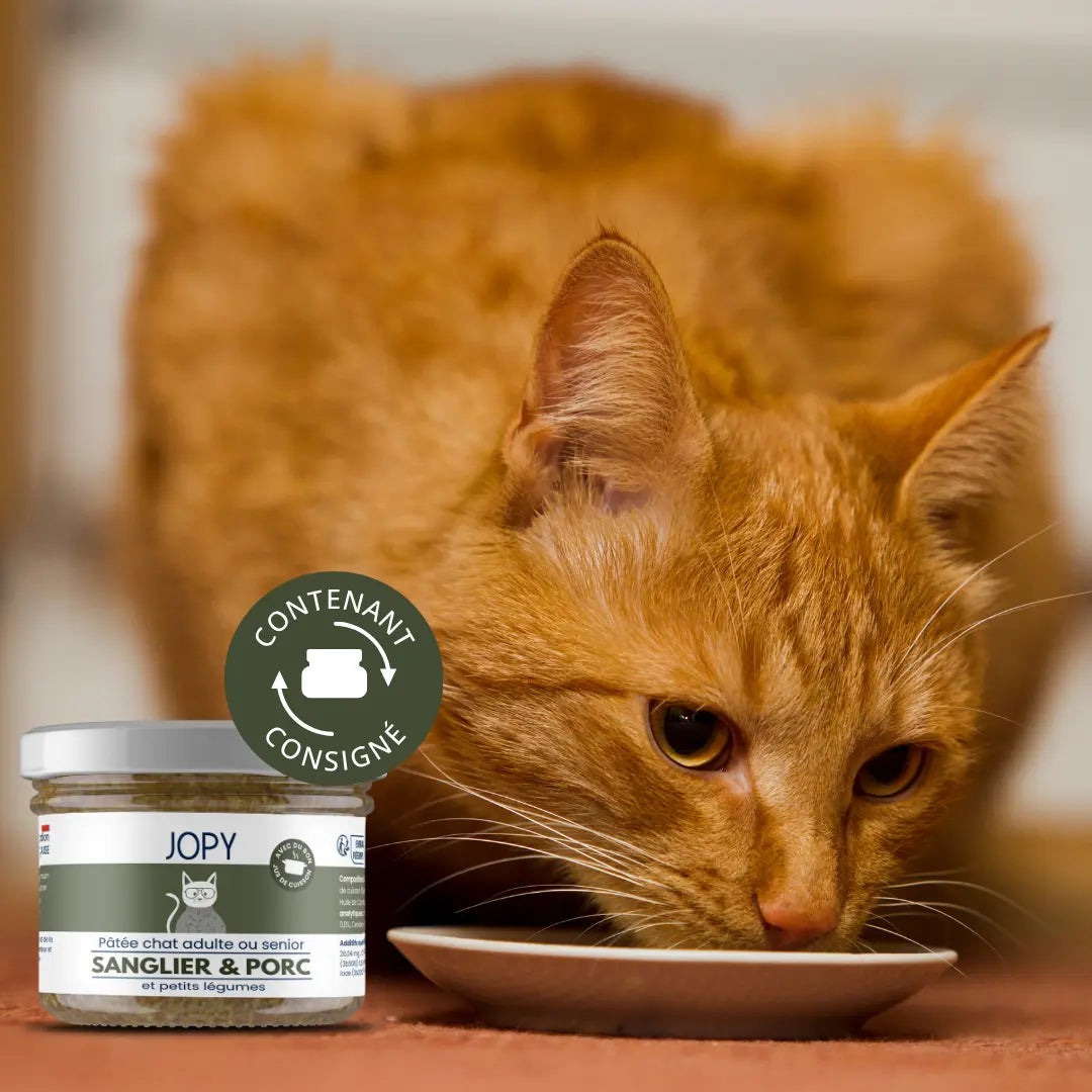 Pâtée Chat au Sanglier